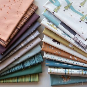 Camp Sur and Camp Basics